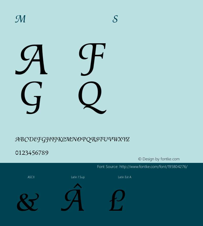 ☞Magellan-Swash Version 001.000 ;com.myfonts.easy.mti.magellan.swash.wfkit2.version.tzz图片样张