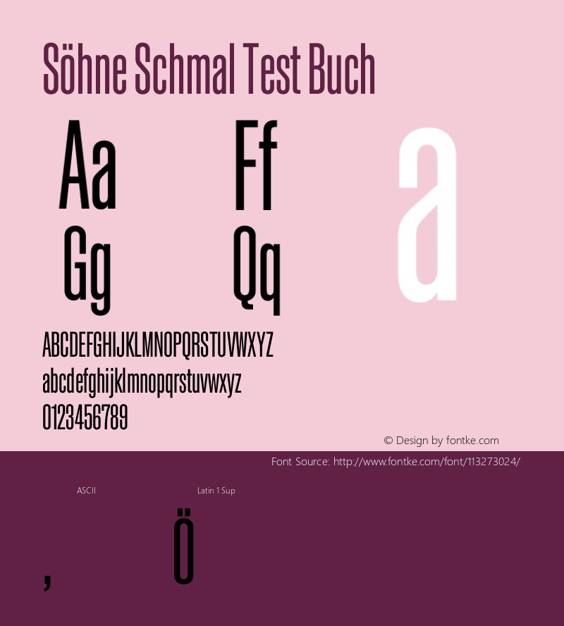 SohneSchmal-BuchTest Version 1.108;hotconv 1.0.116;makeotfexe 2.5.65601;0图片样张