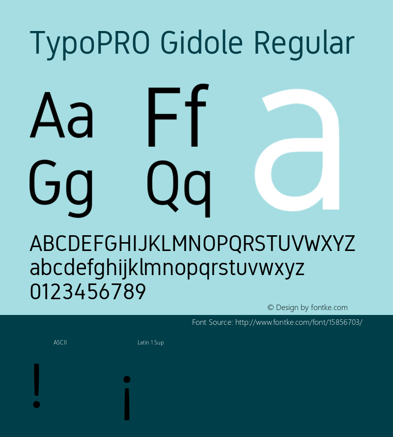 TypoPRO Gidole Regular Version 2.0.2图片样张