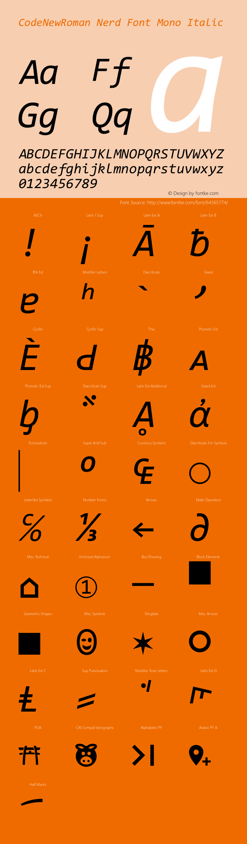 Code New Roman Italic Nerd Font Complete Mono Version 1.86 November 29, 2014图片样张