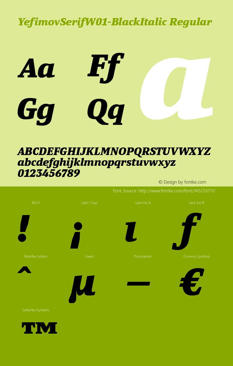 Yefimov Serif W01 Black Italic Version 1.00图片样张