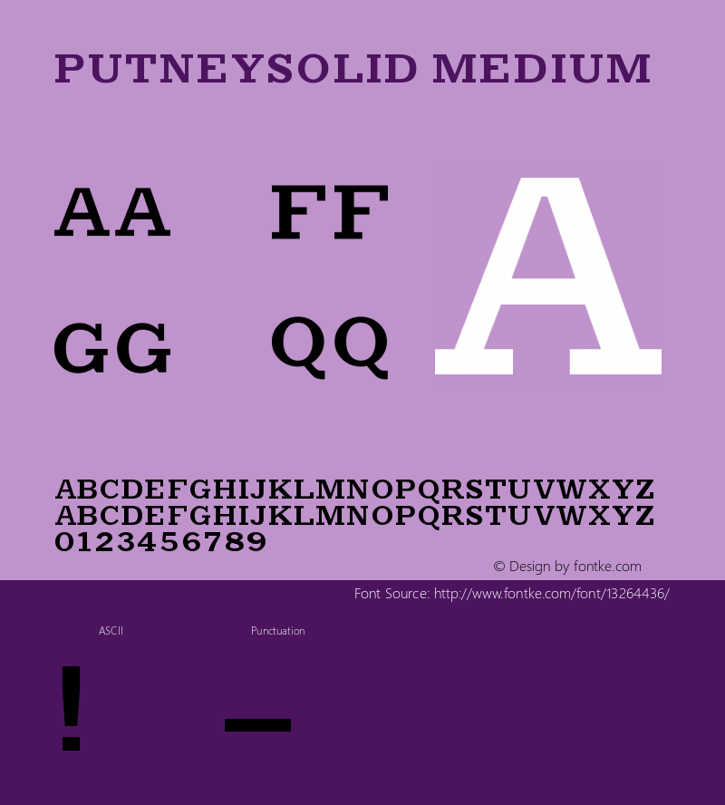 PutneySolid Medium Version 001.000图片样张