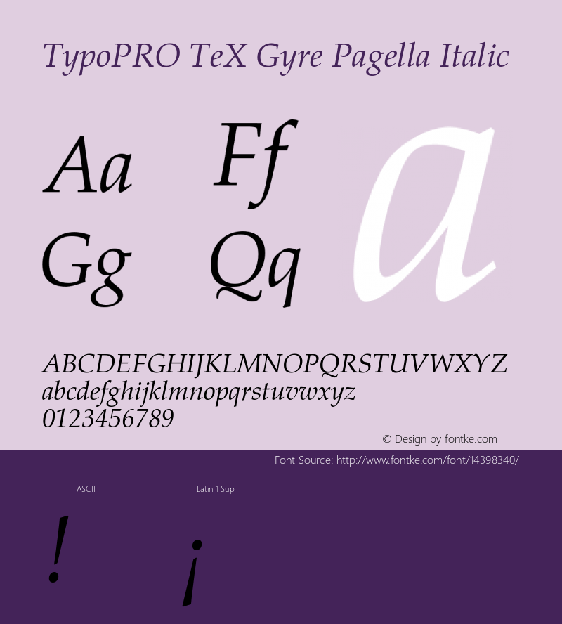 TypoPRO TeX Gyre Pagella Italic Version 2.004;PS 2.004;hotconv 1.0.49;makeotf.lib2.0.14853图片样张