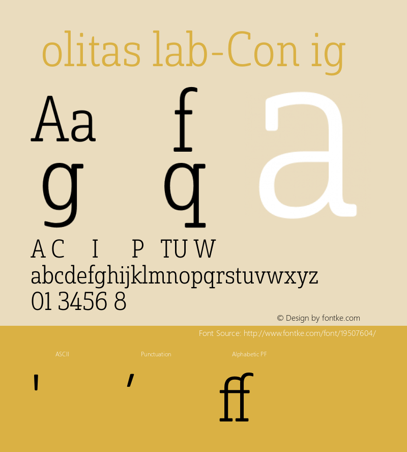 ☞SolitasSlab-ConLig 1.000;com.myfonts.easy.insigne.solitas-slab.con-light.wfkit2.version.4sR6图片样张