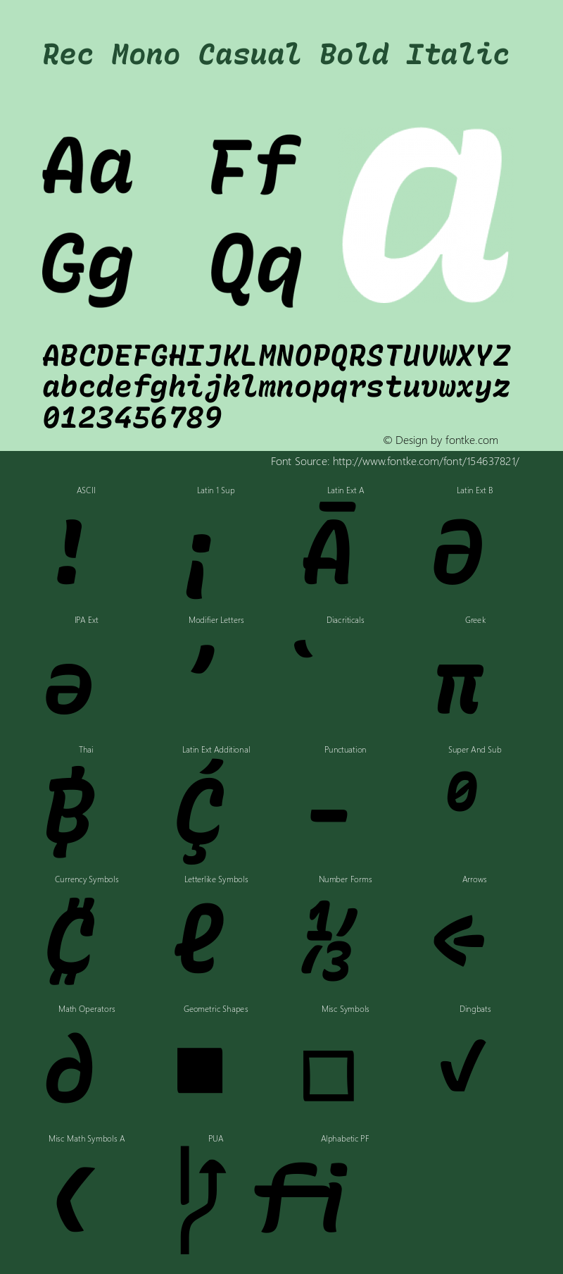 Rec Mono Casual Bold Italic Version 1.071图片样张