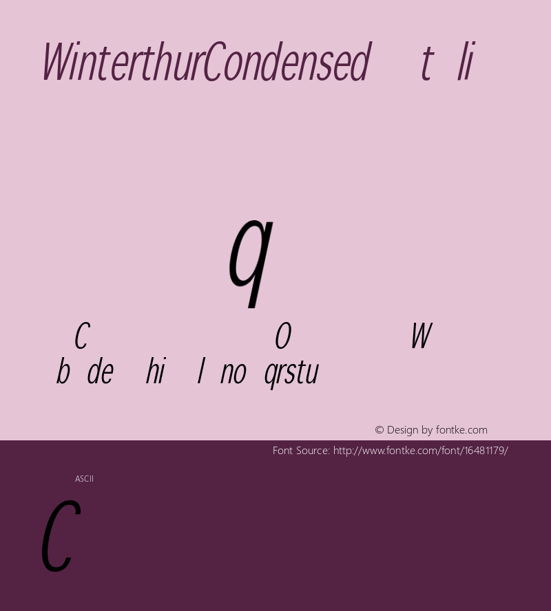 WinterthurCondensed Italic 1.0 2005-03-31图片样张