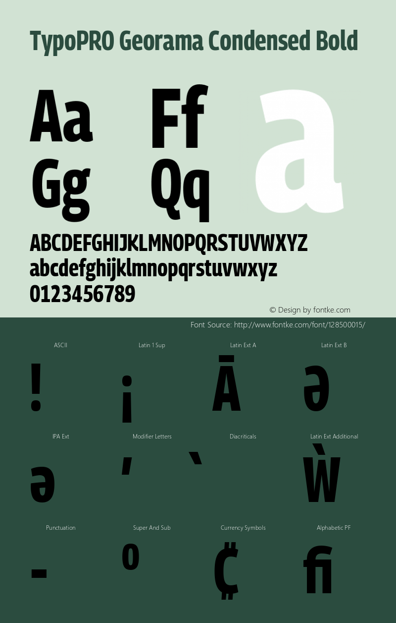 TypoPRO Georama Condensed Bold Version 1.001图片样张