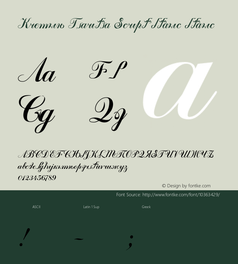 Kremlin Tsaritsa Script Italic Italic Version 1.00 November 25, 2007, initial release图片样张