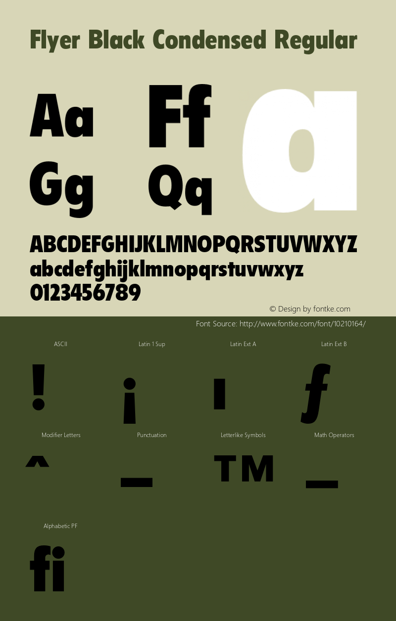 Flyer Black Condensed Regular 001.000图片样张