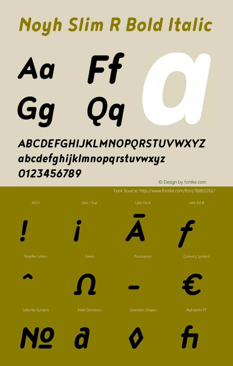 Noyh Slim R Bold Italic Version 1.000图片样张