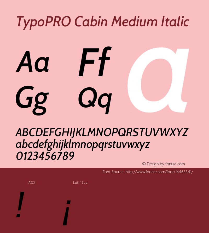 TypoPRO Cabin Medium Italic Version 1.005图片样张