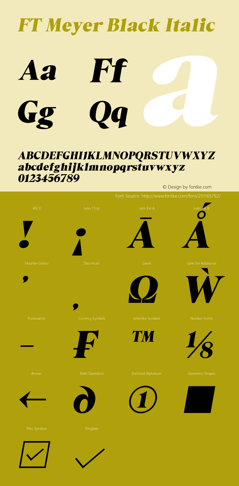 FT Meyer Black Italic Version 1.000;Glyphs 3.1.2 (3151)图片样张