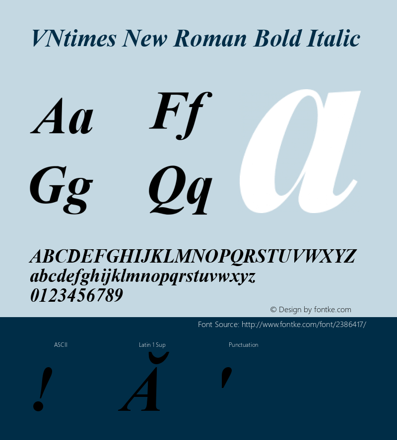 VNtimes New Roman Bold Italic 1.0 Fri Jul 14 19:18:08 1995图片样张