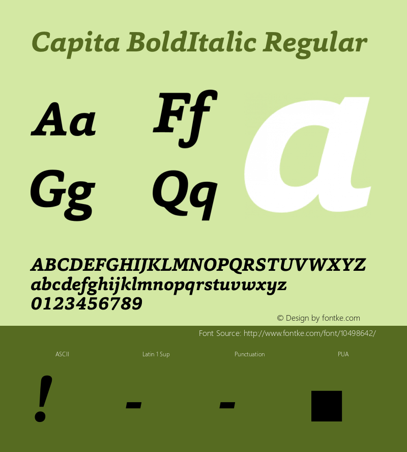 Capita BoldItalic Regular Version 1.000;PS 001.000;hotconv 1.0.70;makeotf.lib2.5.58329 DEVELOPMENT图片样张