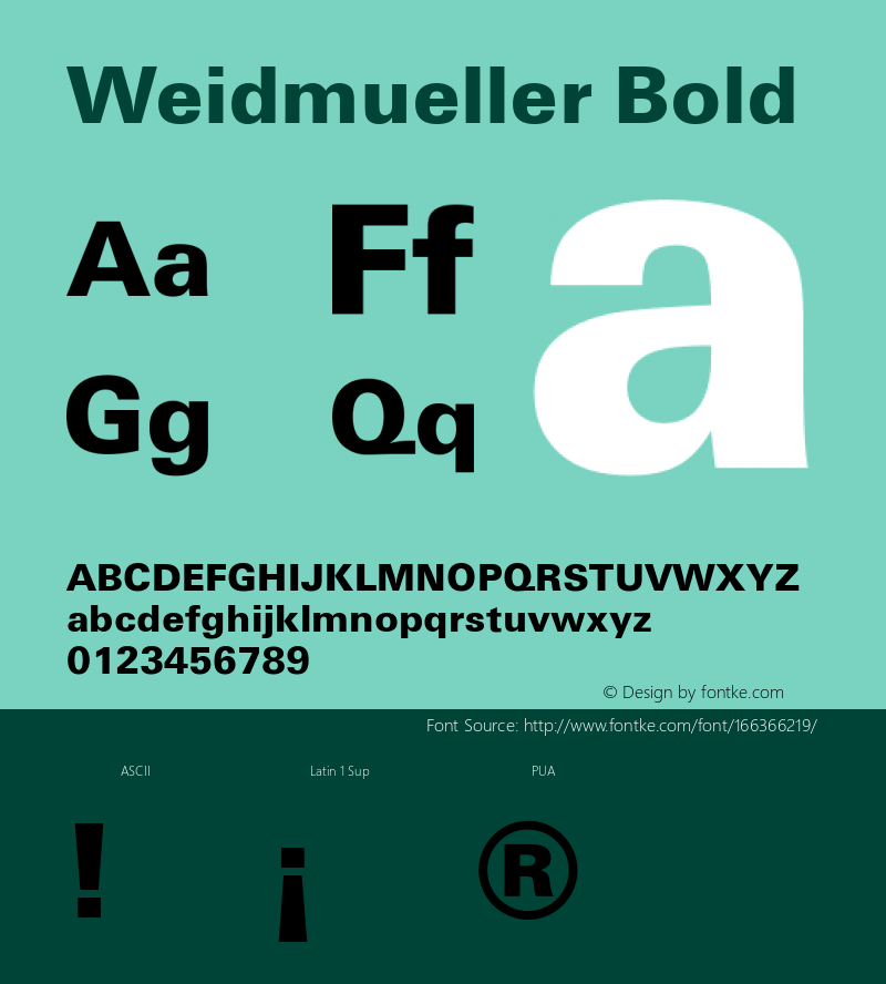 Weidmueller Bold Version 1.2图片样张