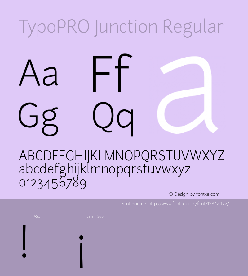 TypoPRO Junction Regular Version 1.002图片样张