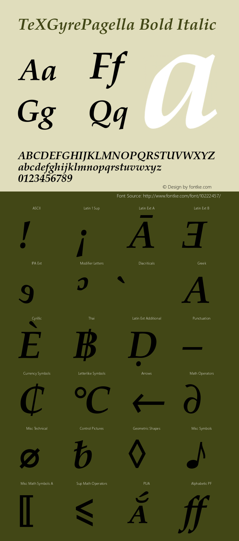 TeXGyrePagella Bold Italic Version 1.103;PS 1.103;hotconv 1.0.49;makeotf.lib2.0.14853图片样张