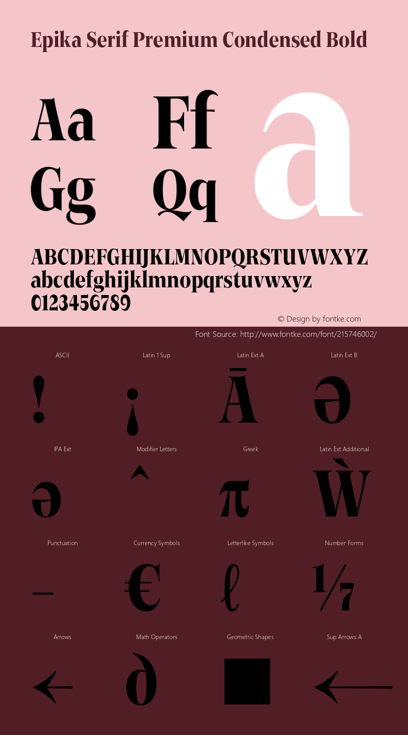 Epika Serif Condensed Premium Bold Version 1.000 | FoM Fix图片样张