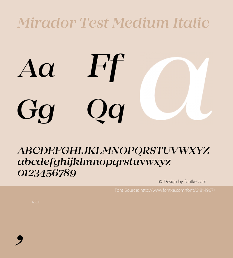 Mirador Test Medium Italic Version 1.002;PS 001.002;hotconv 1.0.88;makeotf.lib2.5.64775图片样张