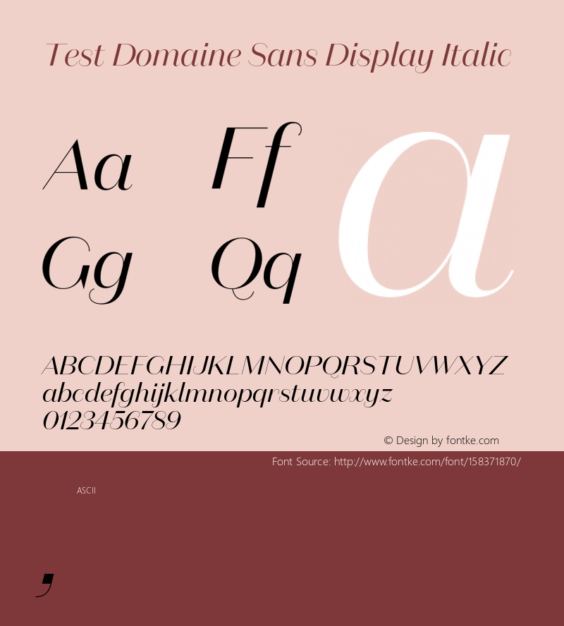 Test Domaine Sn Disp Italic Version 1.005;PS 1.000;hotconv 16.6.54;makeotf.lib2.5.65590图片样张