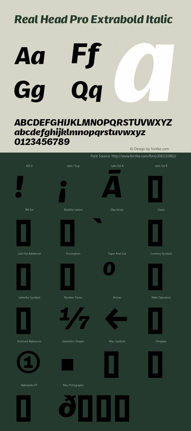 Real Head Pro Extrabold Italic Version 7.70图片样张