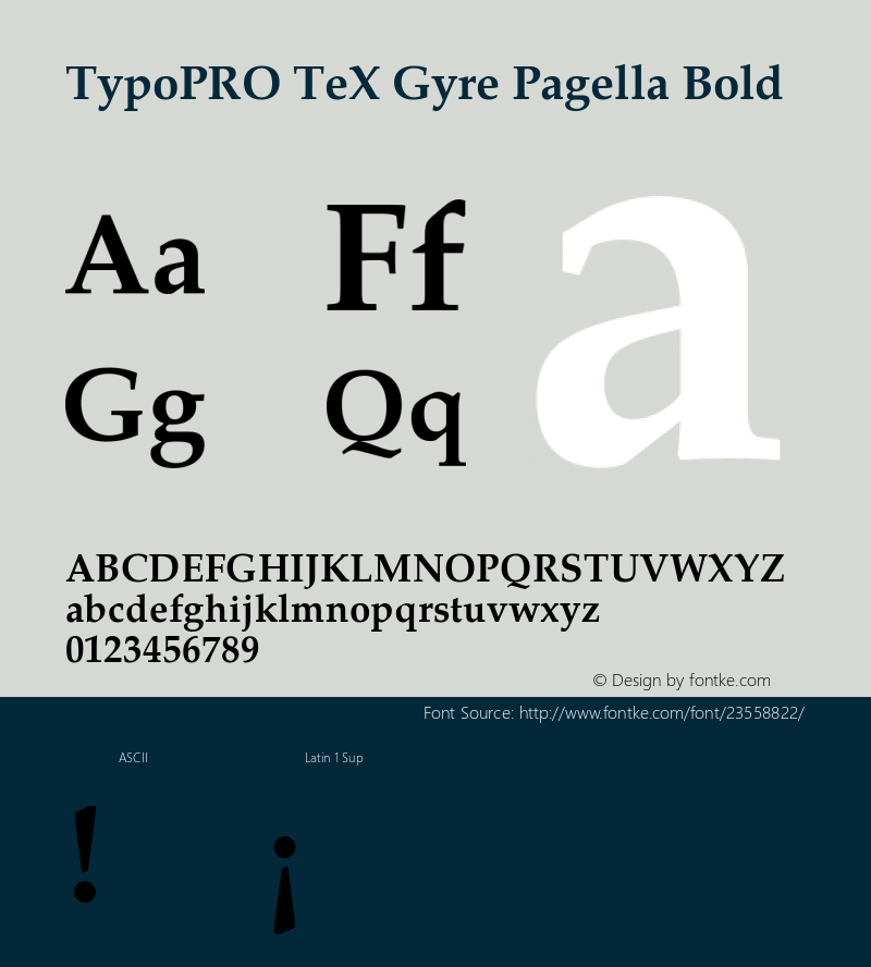 TypoPRO TeXGyrePagella-Bold Version 2.004;PS 2.004;hotconv 1.0.49;makeotf.lib2.0.14853图片样张