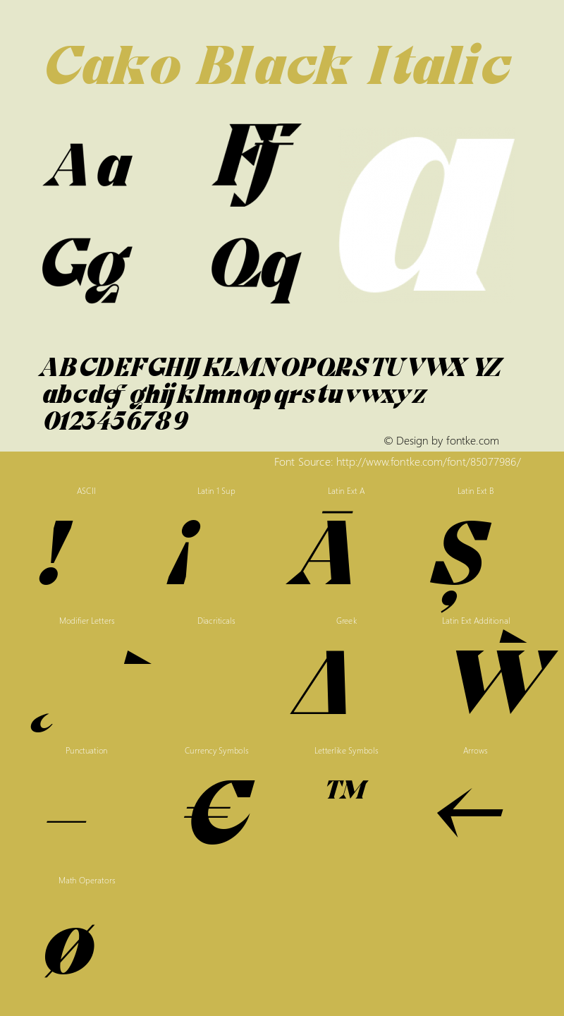 Cako Black Italic Version 1.000 | B-MOD图片样张