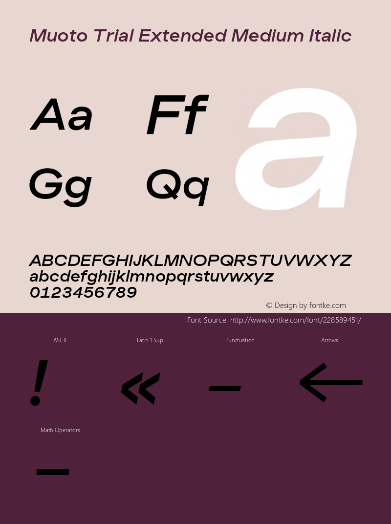 Muoto Trial Extended Medium Italic Version 2.000;FEAKit 1.0图片样张