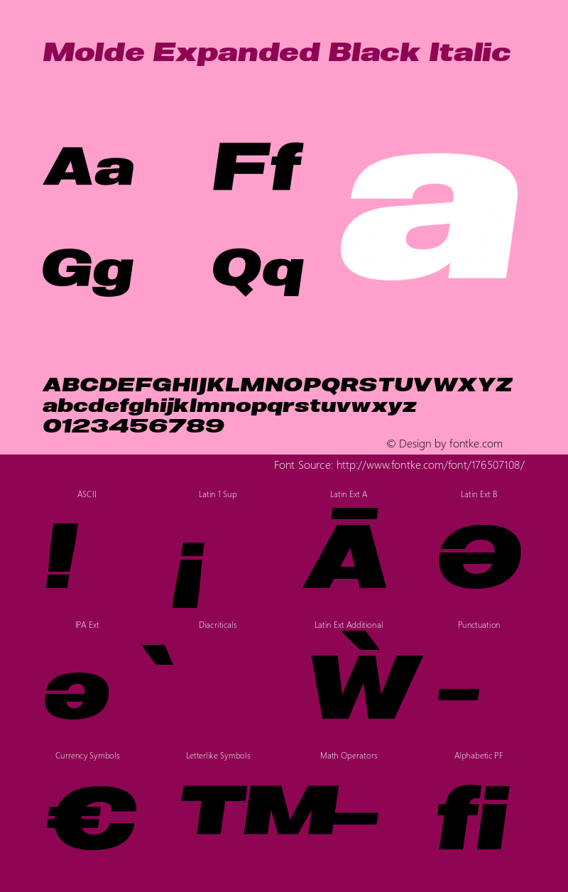 Molde Expanded Black Italic 1.000图片样张