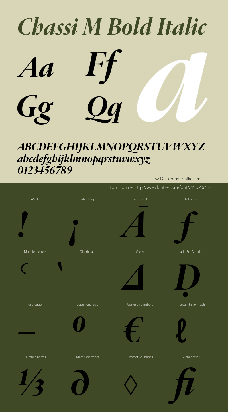 Chassi M Bold Italic Version 1.001图片样张