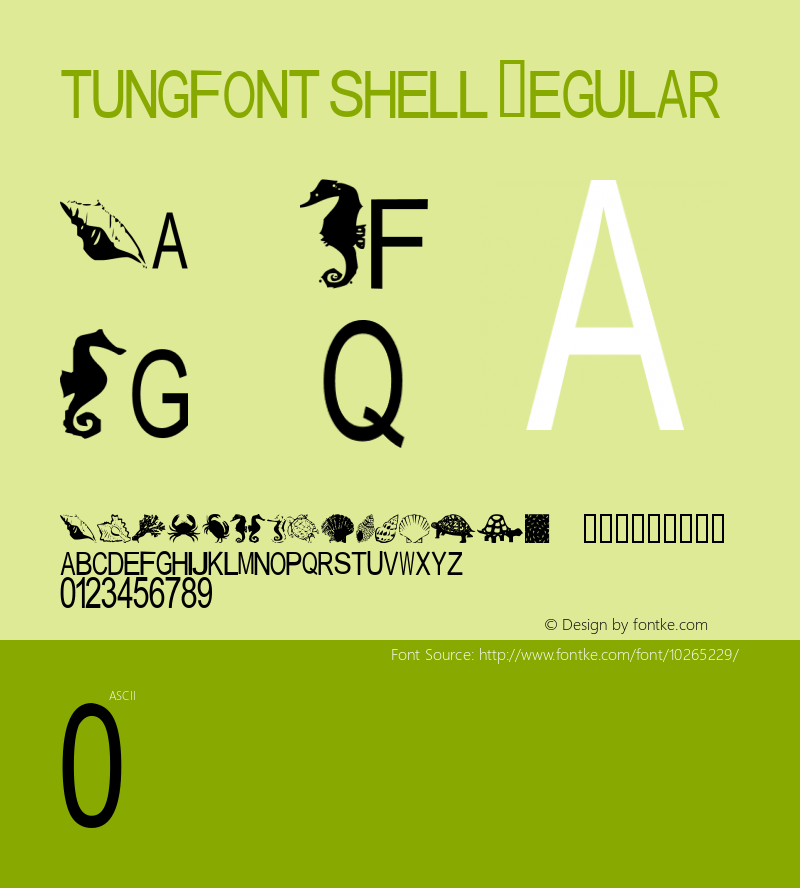 tungfont shell Regular 2000; 1.0, initial release图片样张