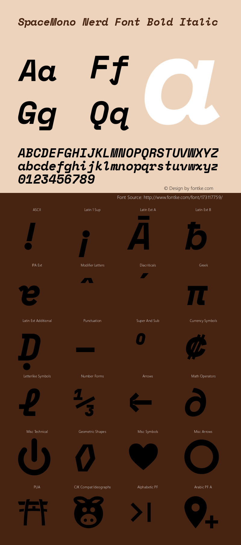 Space Mono Bold Italic Nerd Font Complete Version 1.000;PS 1.000;hotconv 1.0.81;makeotf.lib2.5.63406图片样张