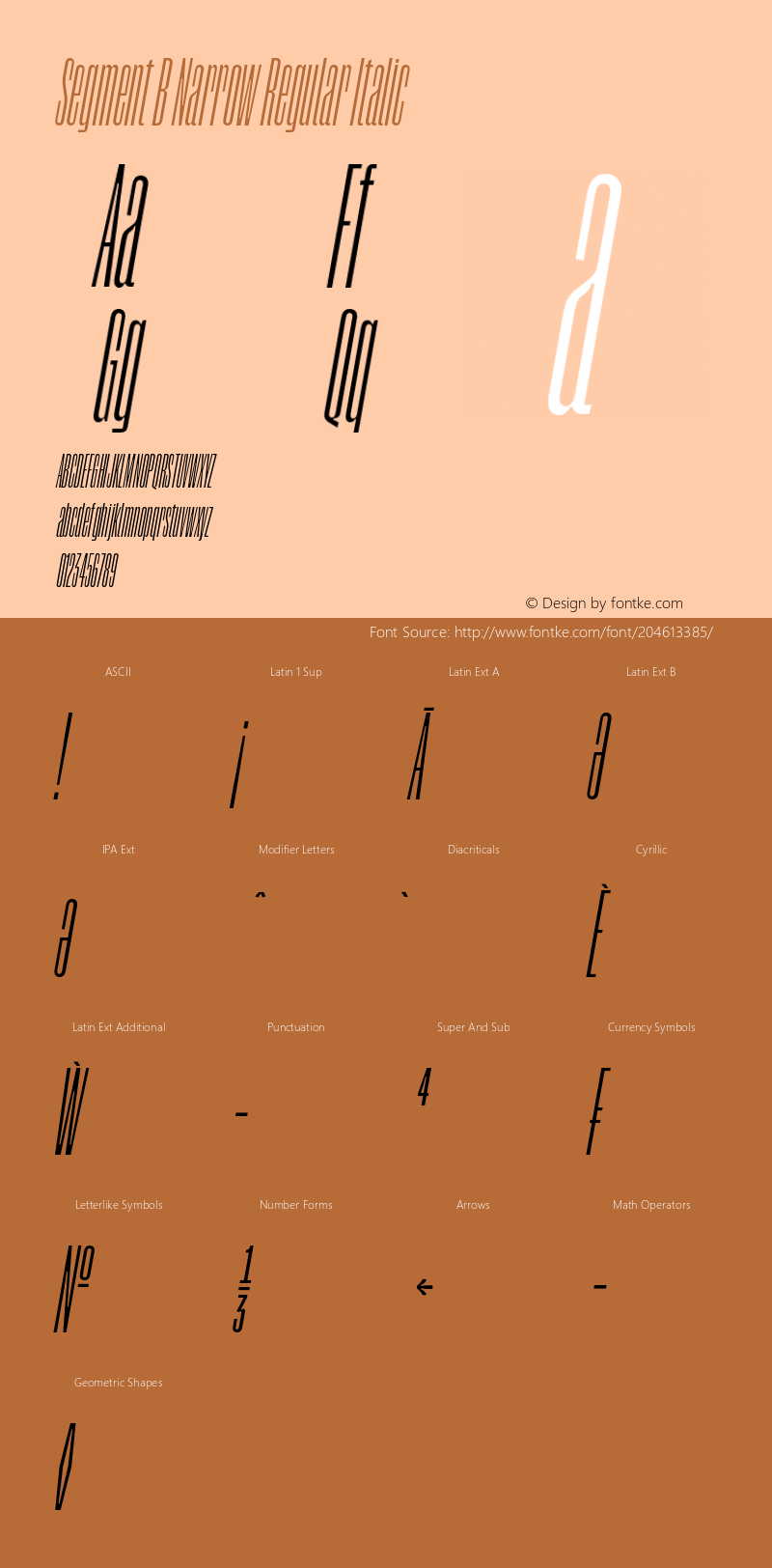 Segment B Narrow Regular Italic Version 1.001;hotconv 1.0.109;makeotfexe 2.5.65596图片样张