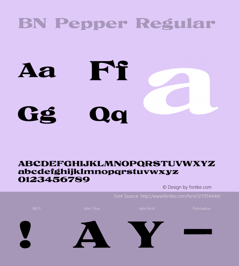 BN Pepper Version 1.001;Fontself Maker 3.5.1图片样张