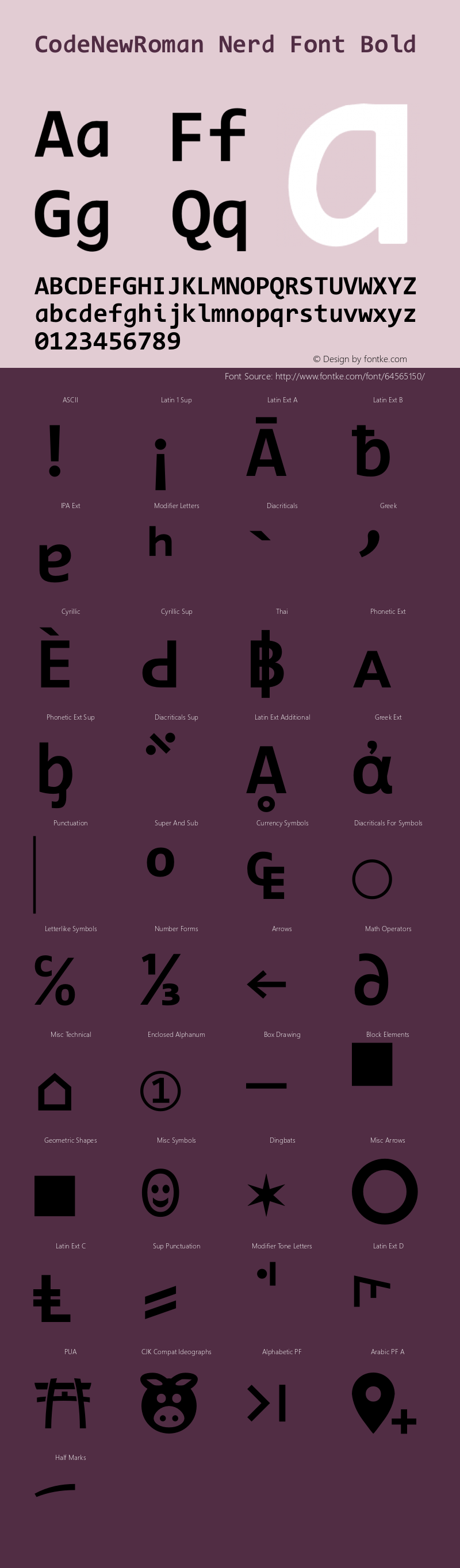 Code New Roman Bold Nerd Font Complete Version 1.90 November 29, 2014图片样张