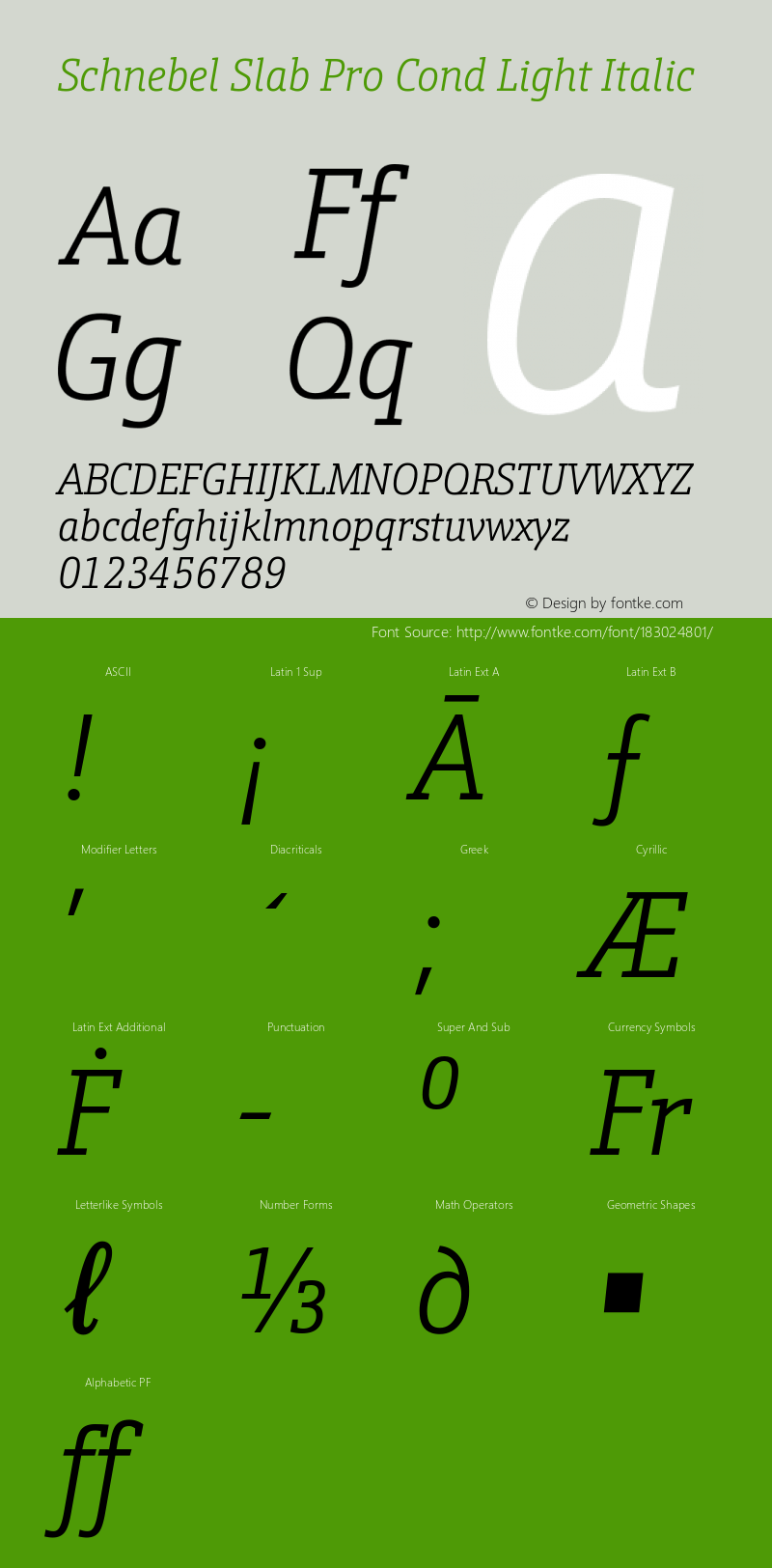 Schnebel Slab Pro Cond Light Italic Version 1.00图片样张