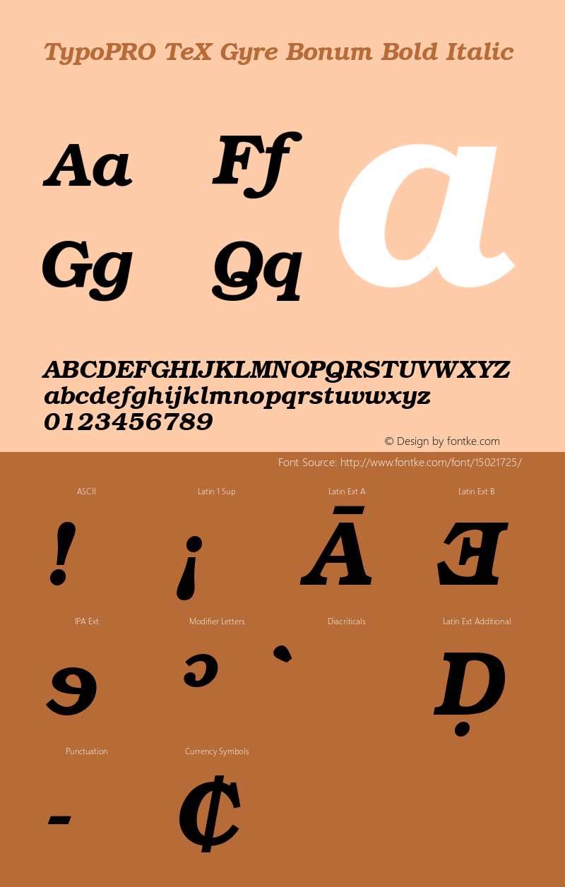 TypoPRO TeX Gyre Bonum Bold Italic Version 2.004;PS 2.004;hotconv 1.0.49;makeotf.lib2.0.14853图片样张