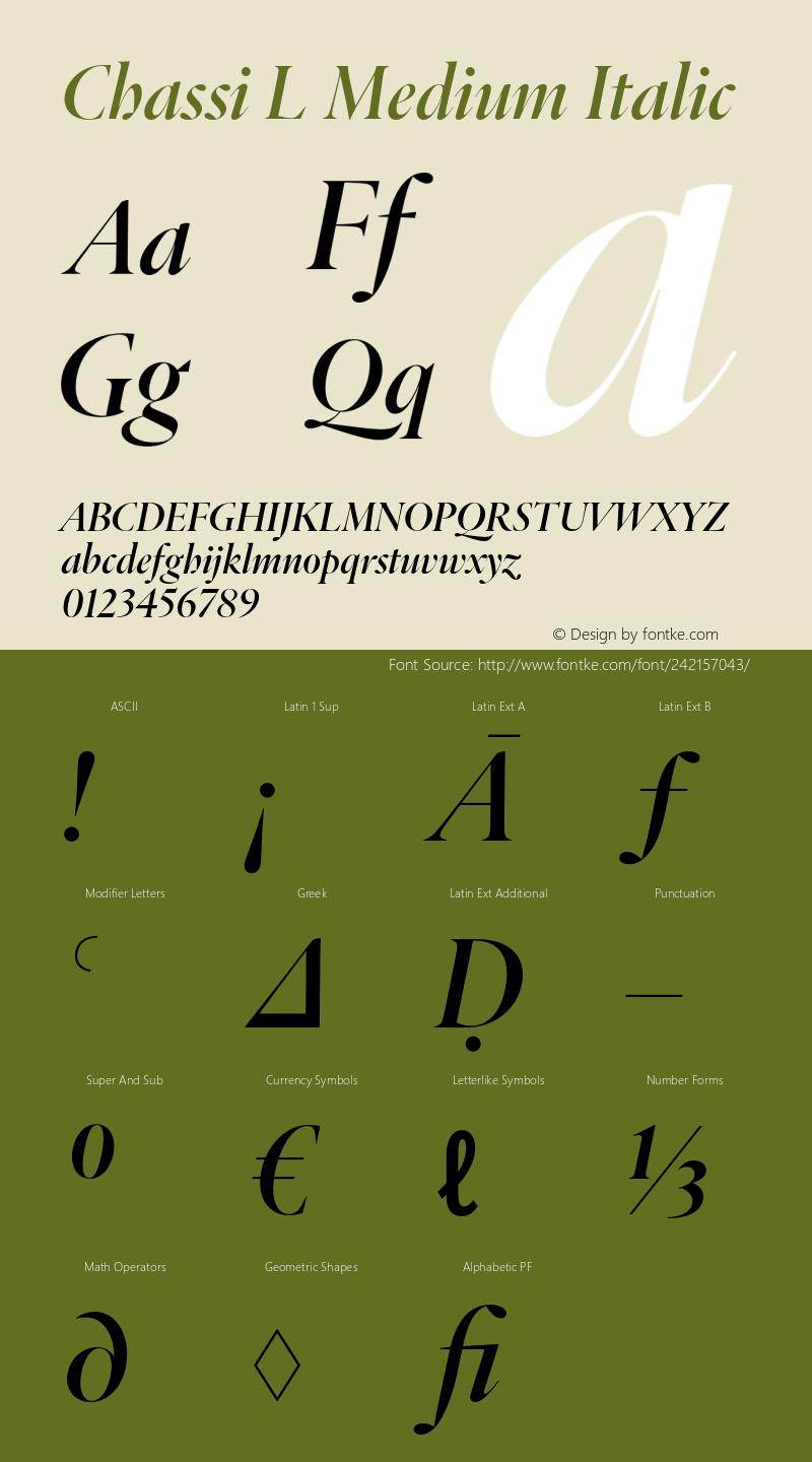 Chassi L Medium Italic Version 1.003图片样张