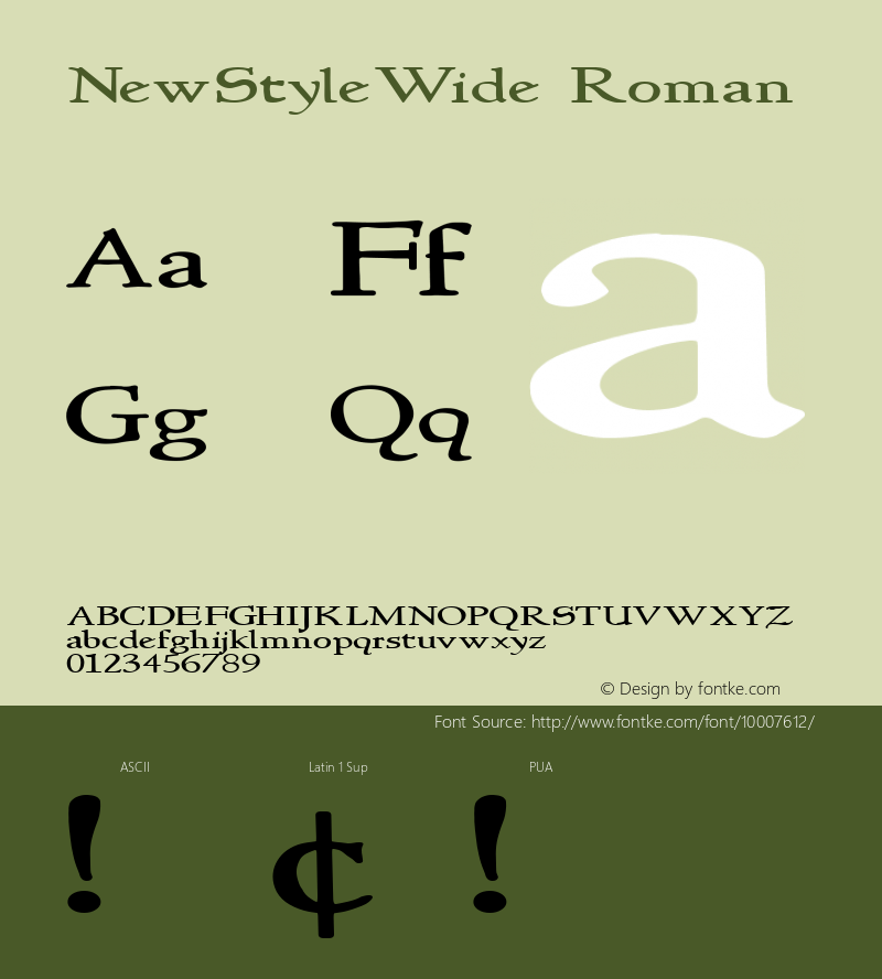 NewStyleWide Roman Version 1.00图片样张