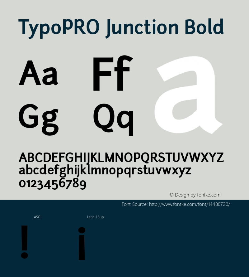 TypoPRO Junction Bold Version 001.001图片样张