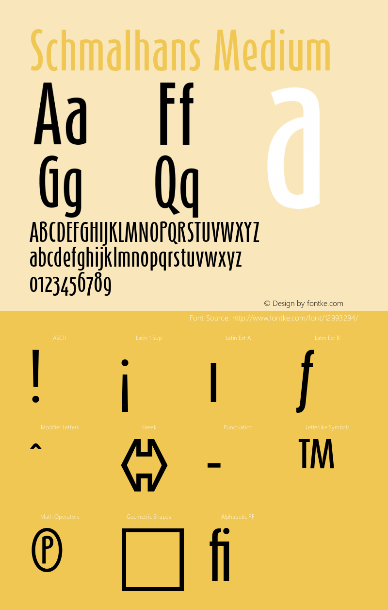 Schmalhans Medium 001.000图片样张