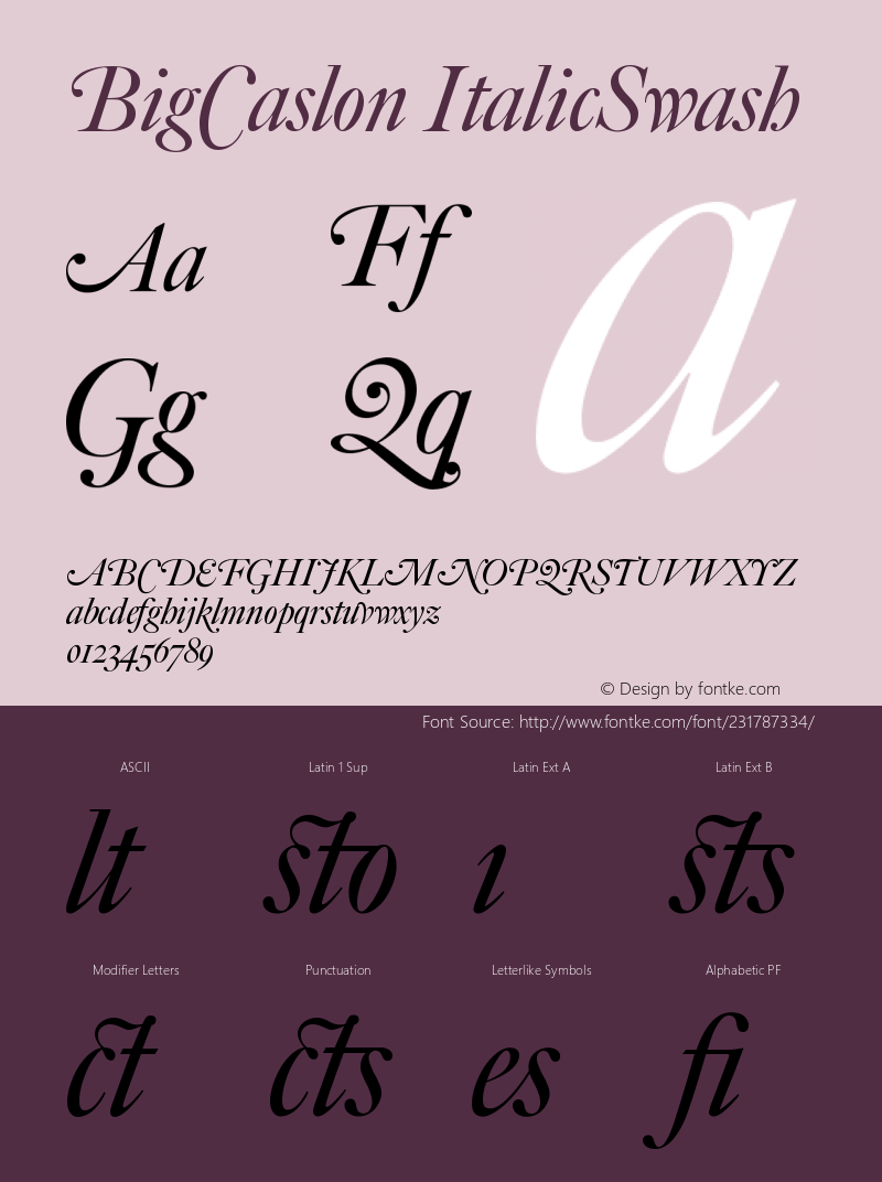 BigCaslon Italic Swash Version 1.001图片样张