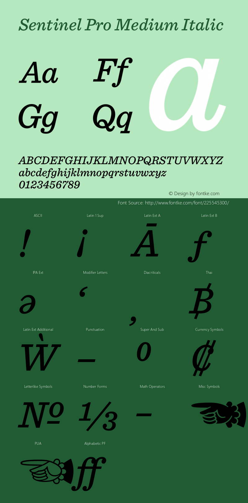 Sentinel Pro Medium Italic Version 2.200 Pro图片样张