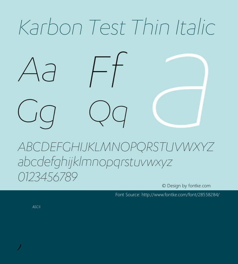 Karbon Thin Test Italic Version 1.1图片样张