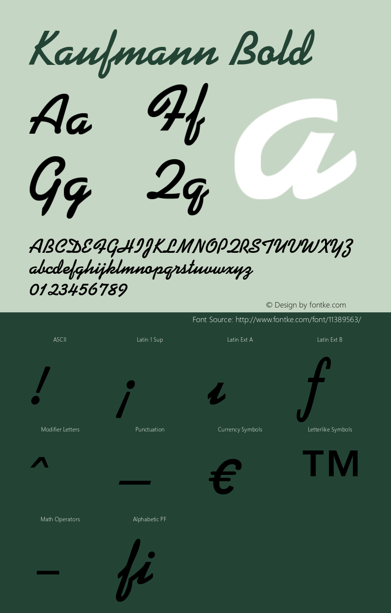 Kaufmann Bold Version 001.002图片样张