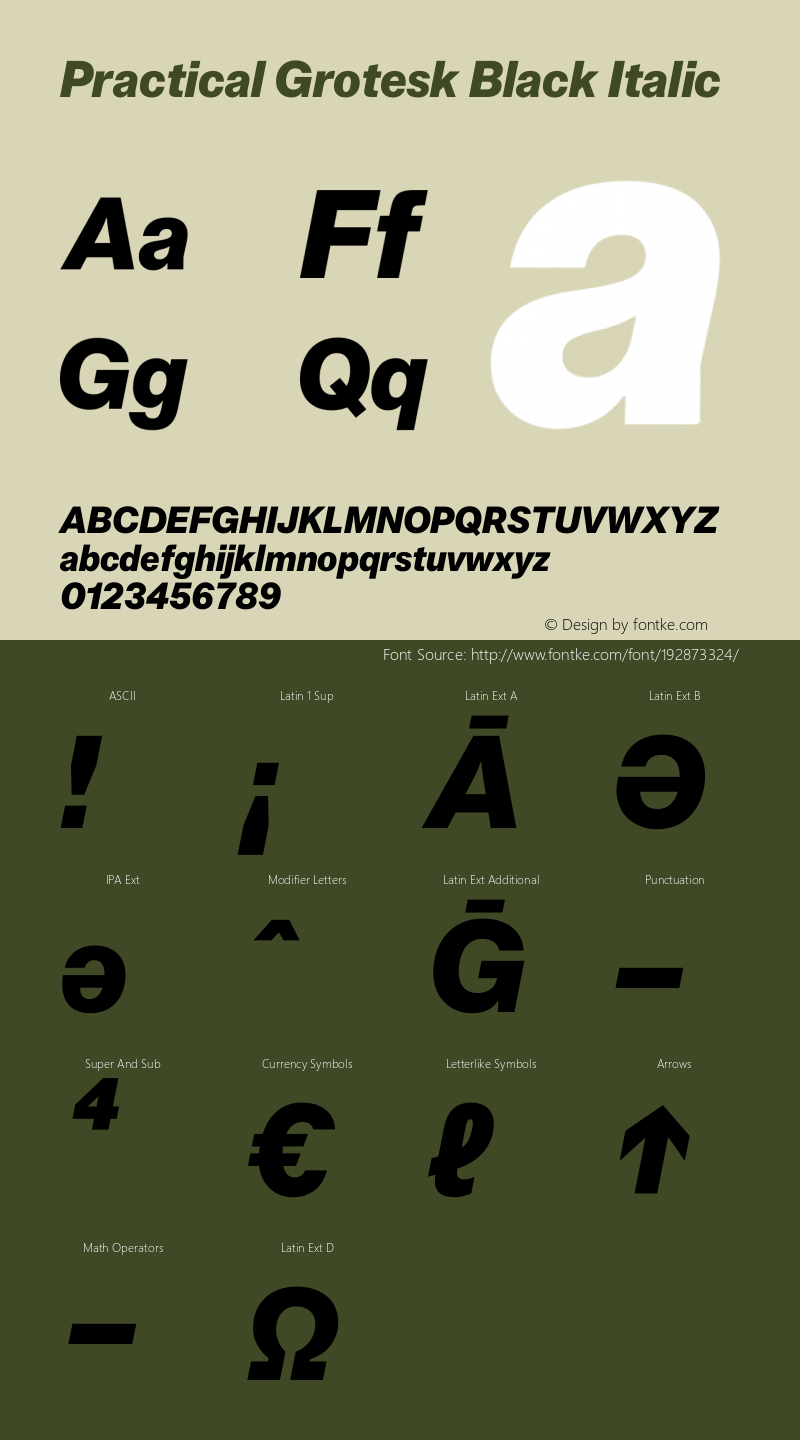 Practical Grotesk Black Italic Version 2.000;FEAKit 1.0图片样张