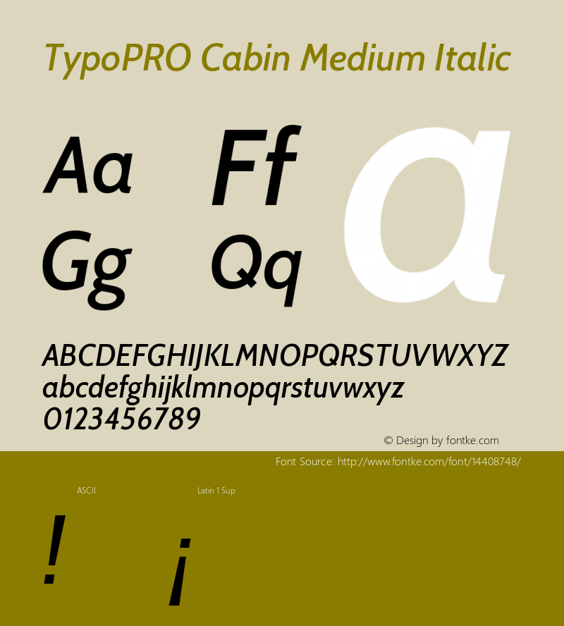 TypoPRO Cabin Medium Italic Version 1.005图片样张