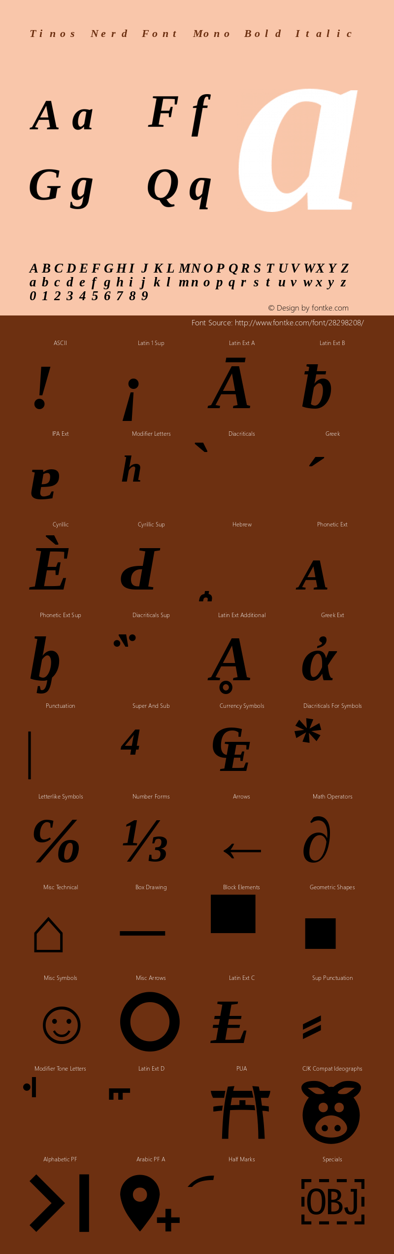 Tinos Bold Italic Nerd Font Complete Mono Version 1.23图片样张