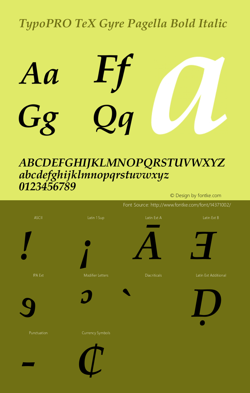 TypoPRO TeX Gyre Pagella Bold Italic Version 2.004;PS 2.004;hotconv 1.0.49;makeotf.lib2.0.14853图片样张