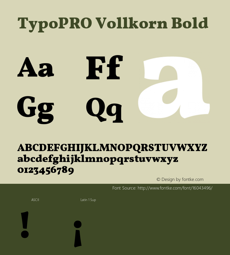 TypoPRO Vollkorn Bold Version 3.005;PS 003.005;hotconv 1.0.70;makeotf.lib2.5.58329图片样张